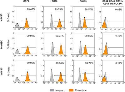 Spheroid trilineage differentiation model of primary mesenchymal stem/stromal cells under hypoxia and serum-free culture conditions
